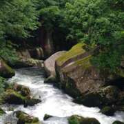 ねね☆JACK CAST おはよう☆ Ace(エース)