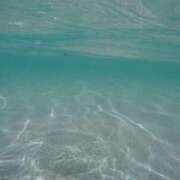 ヒメ日記 2026/01/17 10:53 投稿 ねね☆JACK CAST Ace(エース)