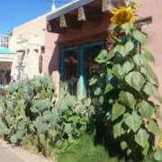 ヒメ日記 2026/01/20 11:13 投稿 ねね☆JACK CAST Ace(エース)