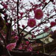 ヒメ日記 2026/02/16 11:06 投稿 ねね☆JACK CAST Ace(エース)