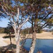 ヒメ日記 2026/02/20 11:12 投稿 ねね☆JACK CAST Ace(エース)