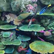 ヒメ日記 2026/03/10 10:54 投稿 ねね☆JACK CAST Ace(エース)