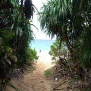 ヒメ日記 2026/03/13 11:07 投稿 ねね☆JACK CAST Ace(エース)