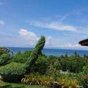 ヒメ日記 2026/04/04 11:03 投稿 ねね☆JACK CAST Ace(エース)