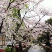 ヒメ日記 2026/04/09 10:54 投稿 ねね☆JACK CAST Ace(エース)