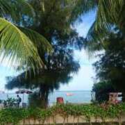 ヒメ日記 2026/04/14 11:00 投稿 ねね☆JACK CAST Ace(エース)