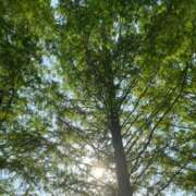 ヒメ日記 2026/07/13 11:17 投稿 ねね☆JACK CAST Ace(エース)