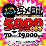 ヒメ日記 2023/11/12 12:13 投稿 りん Ace(エース)