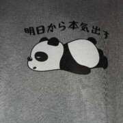 ヒメ日記 2025/07/24 19:21 投稿 ひなた先生 Ace(エース)