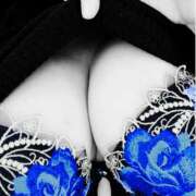 ヒメ日記 2025/07/26 21:36 投稿 ひなた先生 Ace(エース)