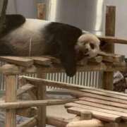 ヒメ日記 2025/10/27 09:59 投稿 ひなた先生 Ace(エース)