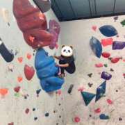 ヒメ日記 2025/11/24 09:01 投稿 ひなた先生 Ace(エース)