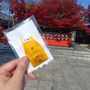 ヒメ日記 2025/12/01 12:25 投稿 ひなた先生 Ace(エース)