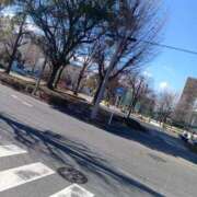 ヒメ日記 2026/02/09 11:40 投稿 ひなた先生 Ace(エース)