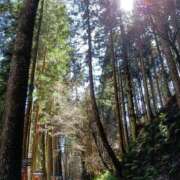 ヒメ日記 2026/03/16 17:21 投稿 ひなた先生 Ace(エース)