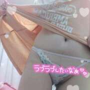 ヒメ日記 2025/03/31 19:40 投稿 ひとみ 丸妻 新横浜店