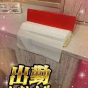 ヒメ日記 2026/02/15 12:37 投稿 ひとみ 丸妻 新横浜店
