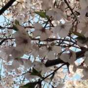 ヒメ日記 2026/04/04 11:11 投稿 ひとみ 丸妻 新横浜店