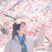 ヒメ日記 2025/02/19 11:26 投稿 アカリ アラビアンナイト