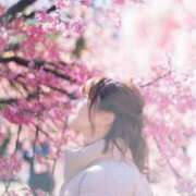 ヒメ日記 2025/04/07 07:09 投稿 アカリ アラビアンナイト