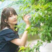 ヒメ日記 2025/06/13 08:23 投稿 アカリ アラビアンナイト