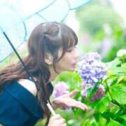 ヒメ日記 2026/07/13 08:30 投稿 アカリ アラビアンナイト