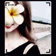 ヒメ日記 2025/10/15 13:00 投稿 関口琴美 ローテンブルク