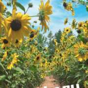 ヒメ日記 2025/08/16 13:30 投稿 羽琉(はる) 天国にいちばん近い島　ニューカレドニア式高級アロマエステ(カサブランカグループ)