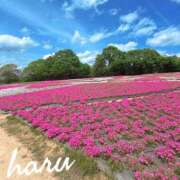 ヒメ日記 2026/05/13 14:34 投稿 羽琉(はる) 天国にいちばん近い島　ニューカレドニア式高級アロマエステ(カサブランカグループ)