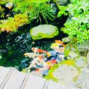 ヒメ日記 2024/12/21 12:58 投稿 広末えれな 月の真珠-新宿-