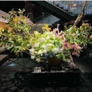 ヒメ日記 2025/07/04 06:18 投稿 広末えれな 月の真珠-新宿-