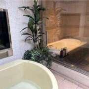 ヒメ日記 2025/07/07 05:08 投稿 広末えれな 月の真珠-新宿-