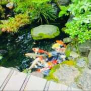 ヒメ日記 2025/08/02 04:48 投稿 広末えれな 月の真珠-新宿-