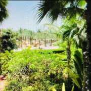 ヒメ日記 2025/08/17 08:38 投稿 広末えれな 月の真珠-新宿-