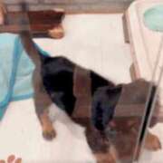 ヒメ日記 2025/08/19 23:48 投稿 広末えれな 月の真珠-新宿-