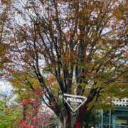 ヒメ日記 2025/08/24 19:47 投稿 広末えれな 月の真珠-新宿-