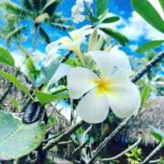 ヒメ日記 2025/08/24 22:18 投稿 広末えれな 月の真珠-新宿-