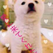 ヒメ日記 2025/08/29 08:38 投稿 広末えれな 月の真珠-新宿-