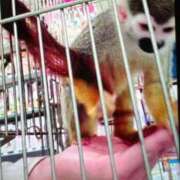 ヒメ日記 2025/09/07 23:41 投稿 広末えれな 月の真珠-新宿-