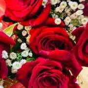 ヒメ日記 2025/09/30 12:58 投稿 広末えれな 月の真珠-新宿-