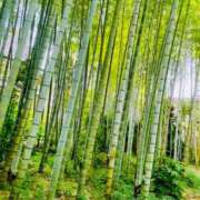 ヒメ日記 2025/10/02 10:18 投稿 広末えれな 月の真珠-新宿-