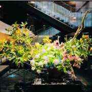 ヒメ日記 2025/10/02 14:18 投稿 広末えれな 月の真珠-新宿-