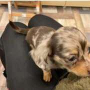 ヒメ日記 2025/10/14 15:42 投稿 広末えれな 月の真珠-新宿-