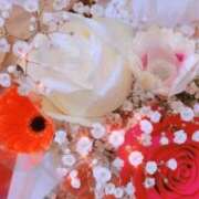 ヒメ日記 2025/10/19 22:18 投稿 広末えれな 月の真珠-新宿-