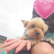 ヒメ日記 2025/11/13 16:18 投稿 広末えれな 月の真珠-新宿-