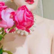 ヒメ日記 2025/11/15 02:18 投稿 広末えれな 月の真珠-新宿-