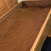 ヒメ日記 2025/11/30 13:18 投稿 広末えれな 月の真珠-新宿-