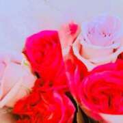 ヒメ日記 2025/11/30 13:25 投稿 広末えれな 月の真珠-新宿-