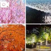 ヒメ日記 2025/12/03 21:08 投稿 広末えれな 月の真珠-新宿-