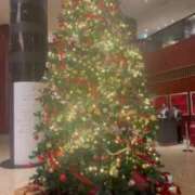 ヒメ日記 2025/12/04 21:58 投稿 広末えれな 月の真珠-新宿-